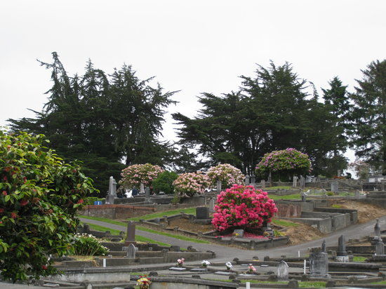 Ferndale Historic Cemetery